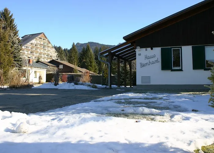 Haus Bernhard By Fis - Fun In Styria باد ميترندورف